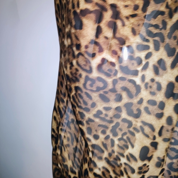 Sheer Leopard Print Maxi Dress - Picture 7 of 10